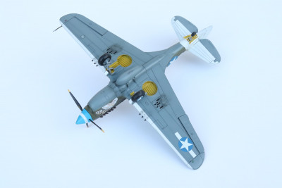 P40N_USAAF5.jpg