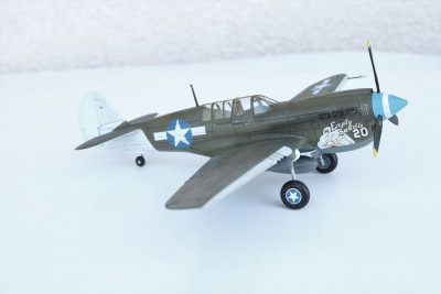 P40N_USAAF3.jpg