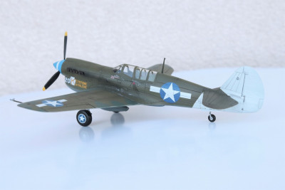 P40N_USAAF1.jpg