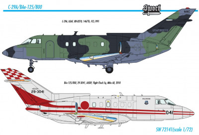 BAe-125_800 Sword4.jpg