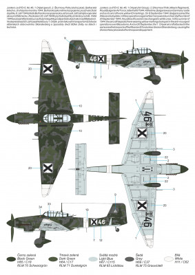 camo D.jpg
