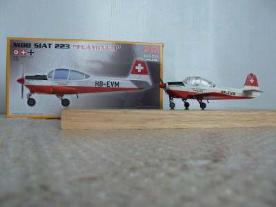 Flamengo fin 100.jpg