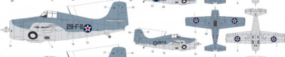 Wildcat111.jpg