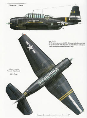 TBM-3E-zluts_54_02.png