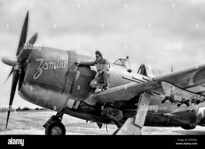 P-47D_Zombie.jpg