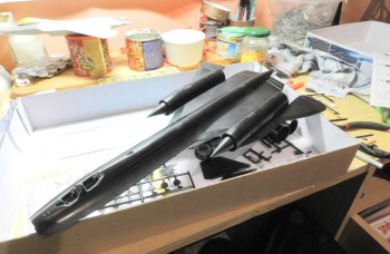 Dnes slepeno. Bude docela dost tmelení. Jinak jak jsem říkal když mi stojej ty dva stroje:Dviz v pozadí za SR-71čkou:D F-22