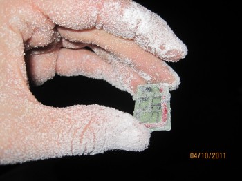 temp5.jpg