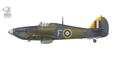 AMH70061d.jpg