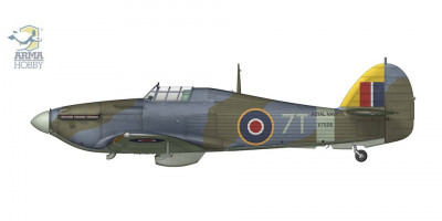 AMH70061f.jpg
