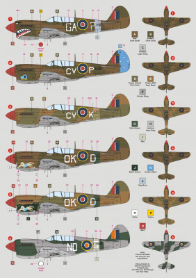 32021 KittyIV ZS.jpg