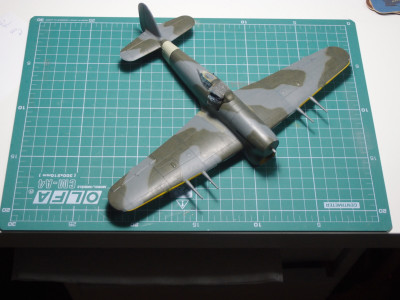 P1241021m.JPG