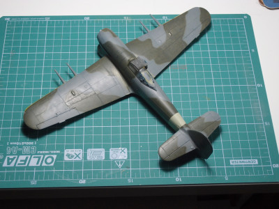 P1241022m.JPG