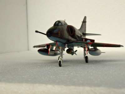 DSCN8821.JPG