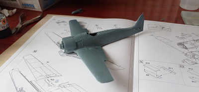 Fw190A4_Jabo2.jpg