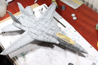 F-14_20.jpg