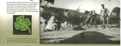 IAR80A.jpg