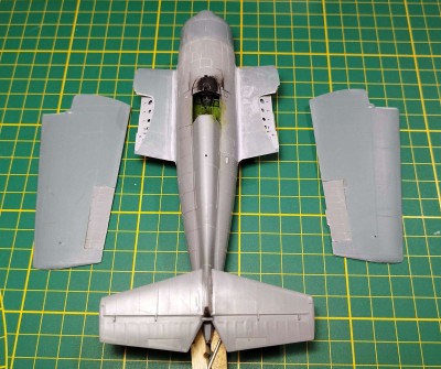 FM-1 "Tamiard"