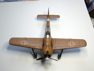 20240716_133334 40.jpg