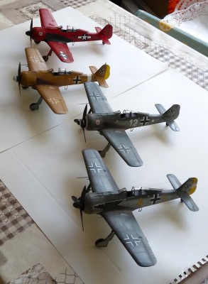 20240716_134016 40.jpg