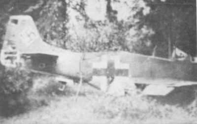 P-51D Dark Green over yellow.jpg