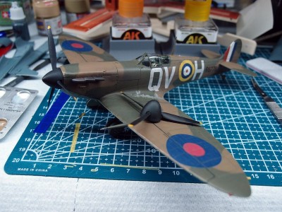 P5142040a.jpg