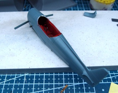 P5172053a.jpg