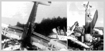 F8c.jpg