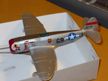 P-47 3.JPG
