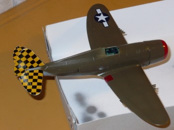P-47 2.JPG