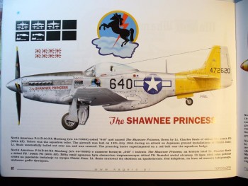 p51princess.jpg