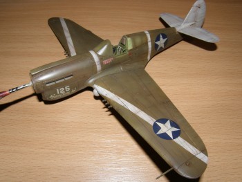 P-40 & Spitfire 030.jpg