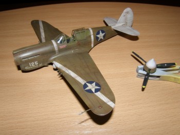 P-40 & Spitfire 034.jpg