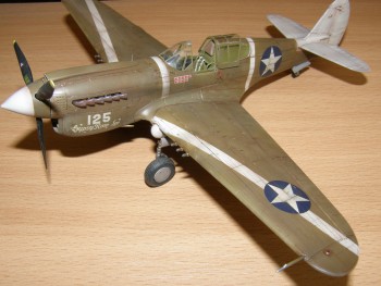 P-40 & Spitfire 037.jpg