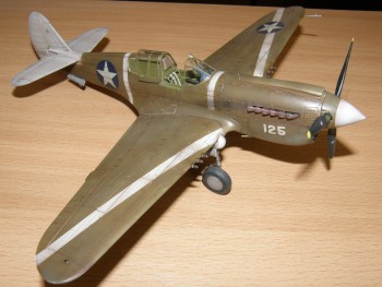 P-40 & Spitfire 038.jpg