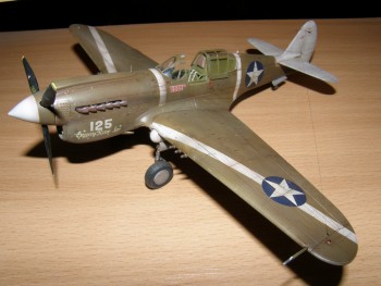 P-40 & Spitfire 039.jpg