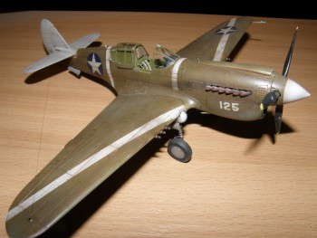 P-40 & Spitfire 040.jpg