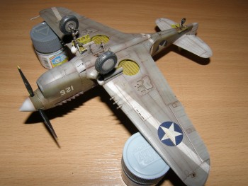 P-40 & Spitfire 049.jpg