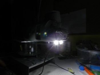 DSCN5340.JPG