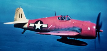 F6F Drone #11.JPG