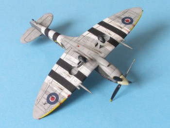 Spitfires_ 2013_06.jpg
