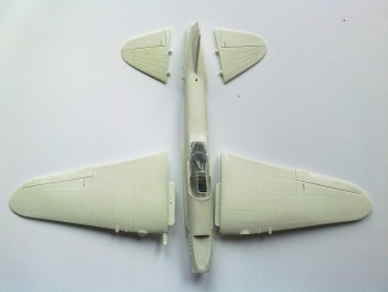 Preryté a onitované krídla.