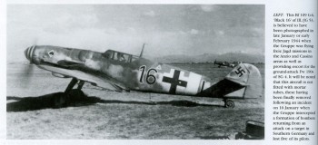 g-6.jpg