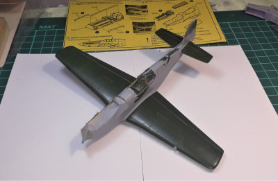 Mustang SNP.jpg