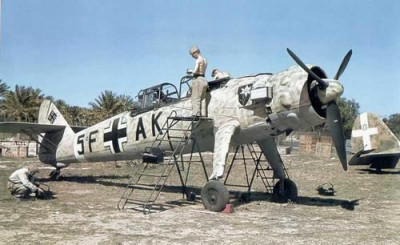 German Air Force - German plane and Italian plane.jpg