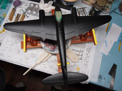 P5020351.JPG