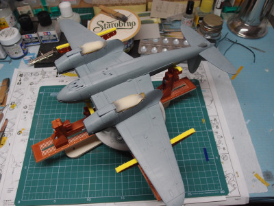 P5140356.JPG