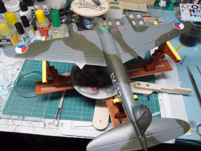 P5190361.JPG