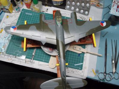 P5190362.JPG