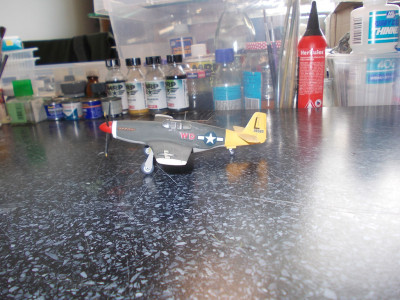 cDscn0429.jpg