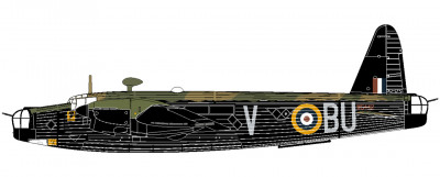 Wellington camo B.jpg